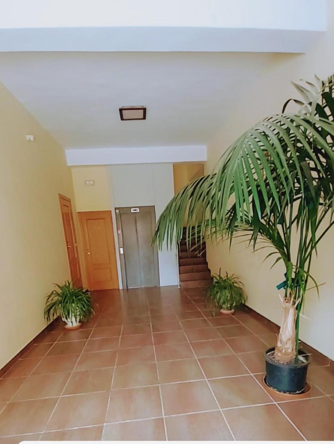 Apartamento Con Vistas A La Montana Oasis サン・ビセンテ・デ・ラ・ソンシエラ エクステリア 写真